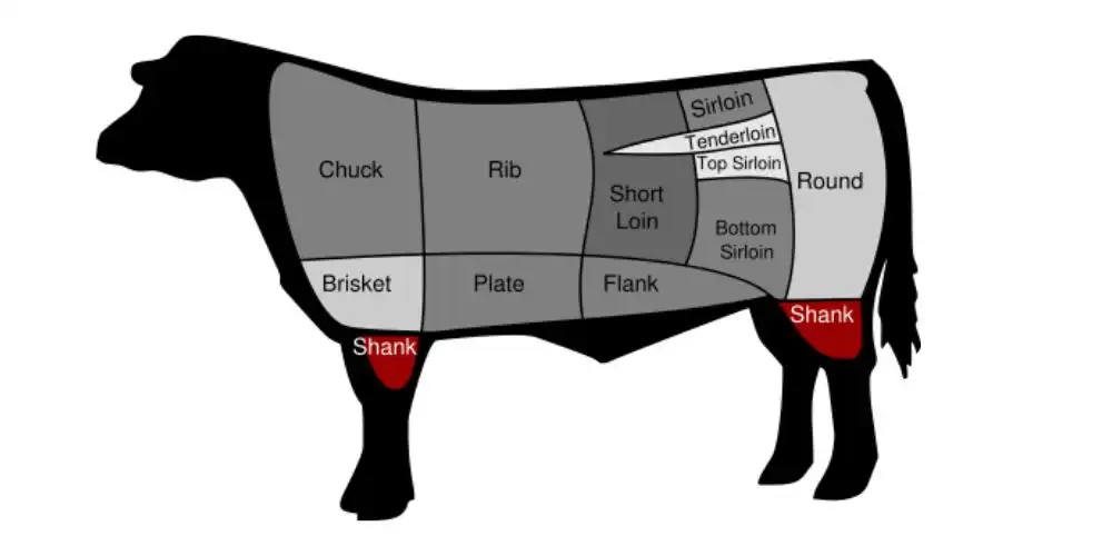 Beef Shank bone in parts chart