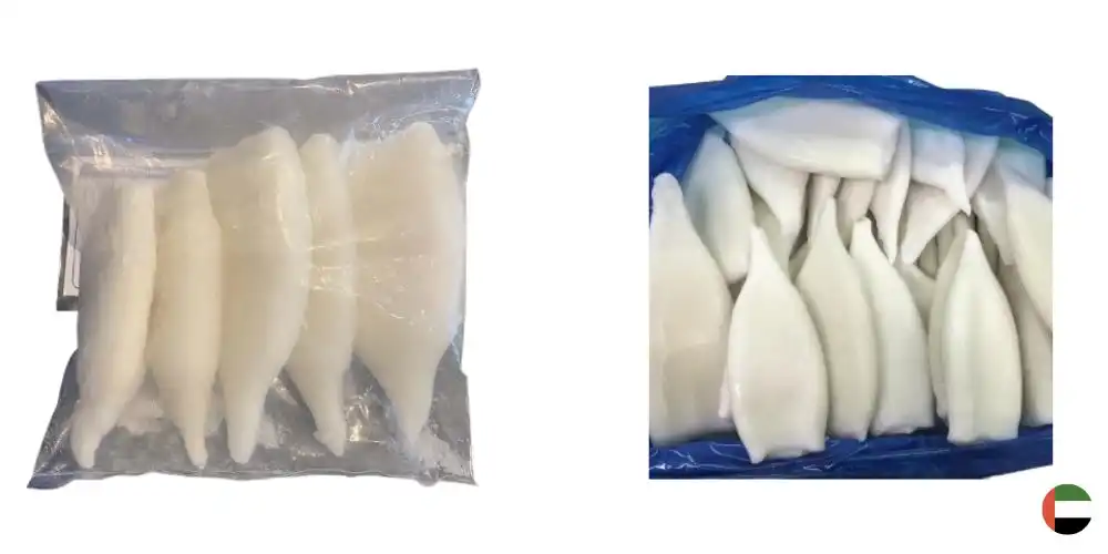 Frozen Squid Tube Suppliers in UAE