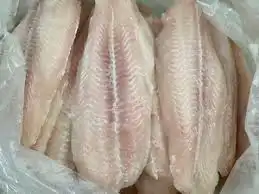Basa Fillet Suppliers in Abu Dhabi city