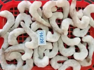 Frozen Shrimps PD 16/20 importer UAE Dubai, Abu Dhabi