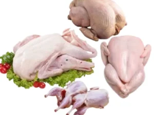 Poultry