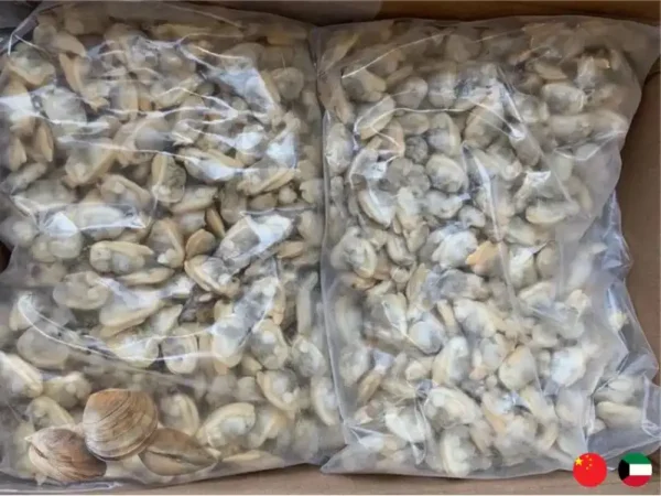Frozen Chinese Clam Meat suppliers in UAE Dubai Abu Dhabi