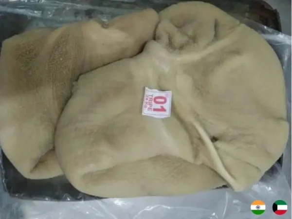Frozen Indian Beef Tripe suppliers in UAE
