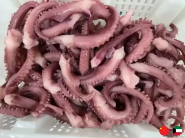 Frozen Chinees Octopus Tentacles suppliers in UAE
