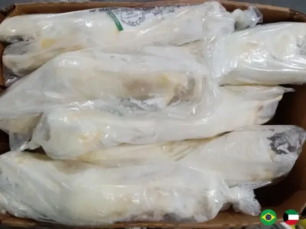 Frozen Beef Feet Friboi brand suppliers in UAE
