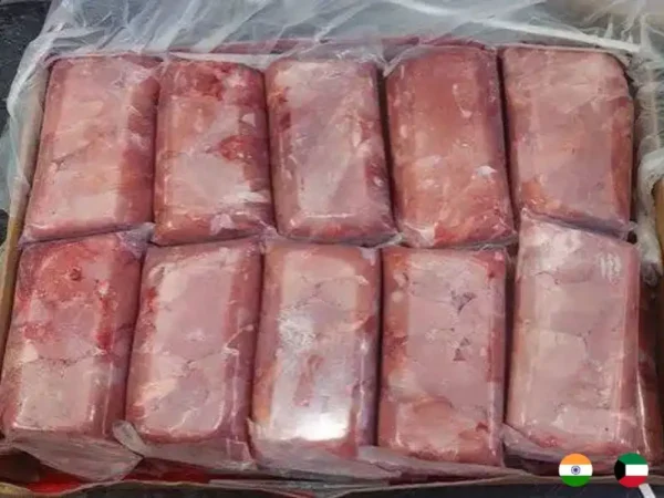Frozen Indian Meat Beef slice suppliers in UAE