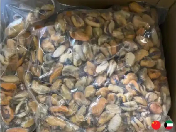 Frozen Chinees Mussels meat suppliers in UAE