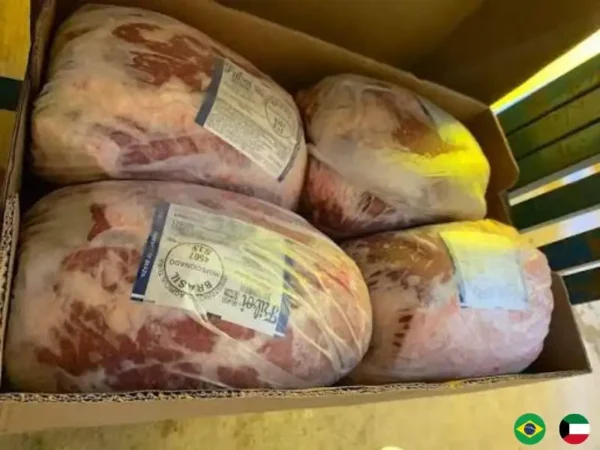 Frozen Beef Knuckle Friboi brand suppliers in UAE