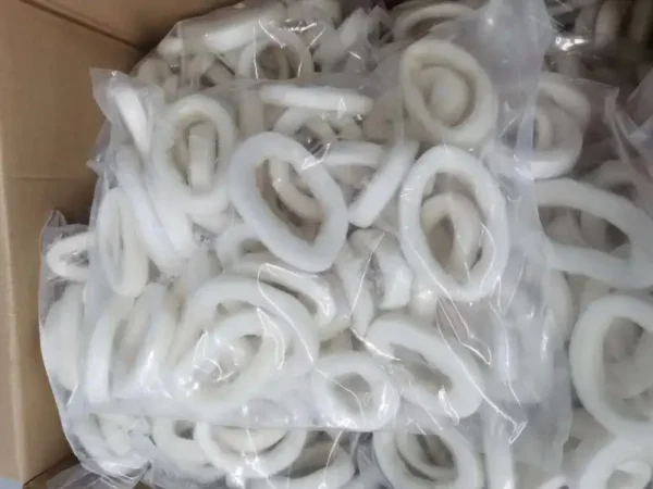 Frozen Chinese Squid Rings Importers in GCC