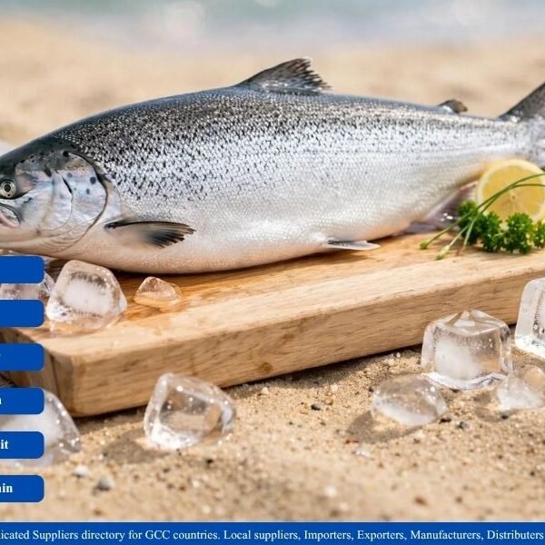 Frozen Whole Salmon suppliers in GCC