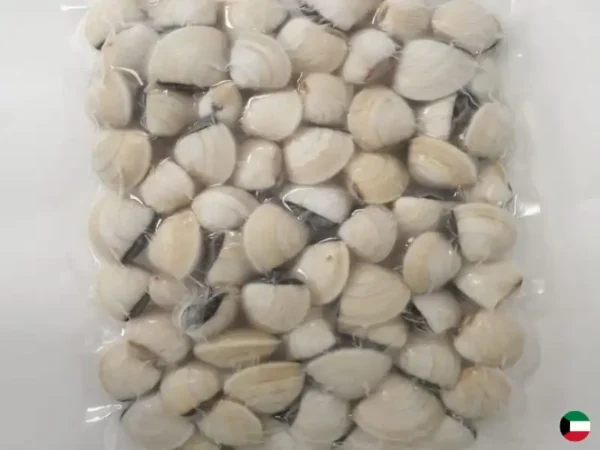 Frozen Clams suppliers in UAE