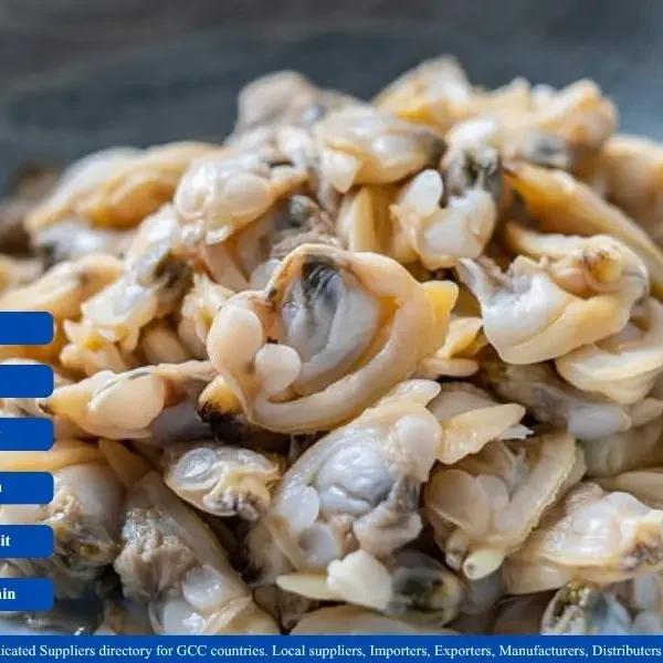 Frozen Chinese Clam Meat suppliers in GCC