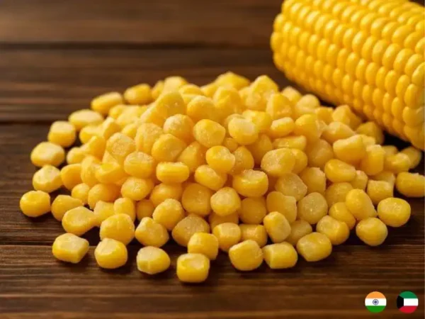 Frozen Indian Sweet Corn suppliers in UAE