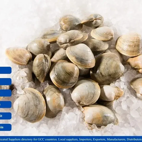 Fresh Clams suppliers in GCC