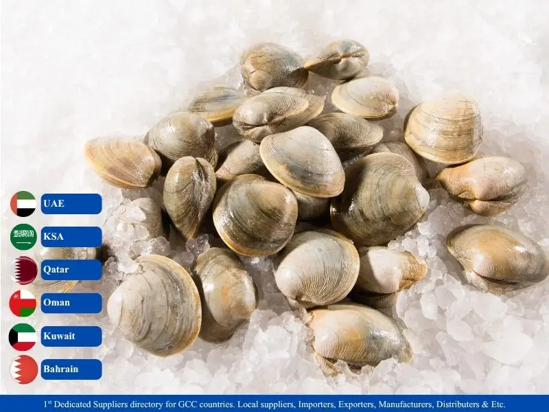 Fresh Clams suppliers in GCC