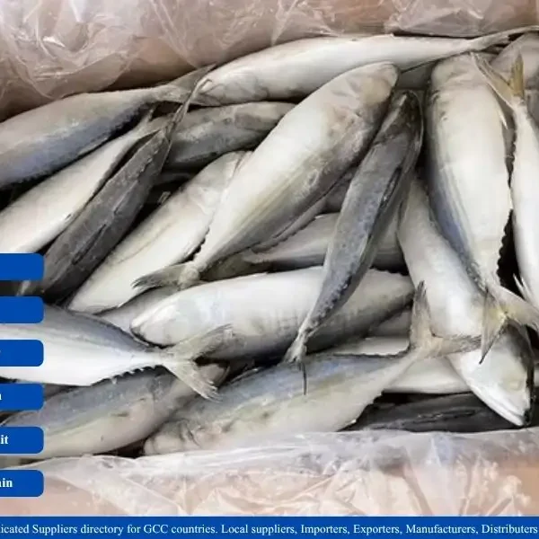 Frozen Indian Mackerel Fish suppliers in GCC