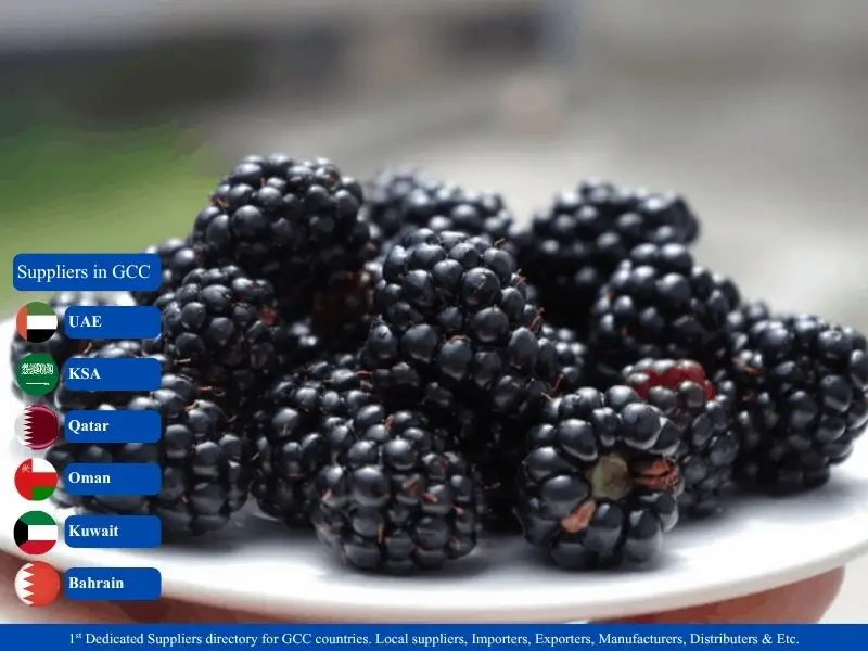Frozen Black Berry suppliers in GCC