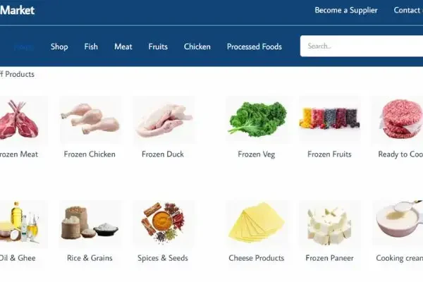Ecommerce Website development freelancers in UAE