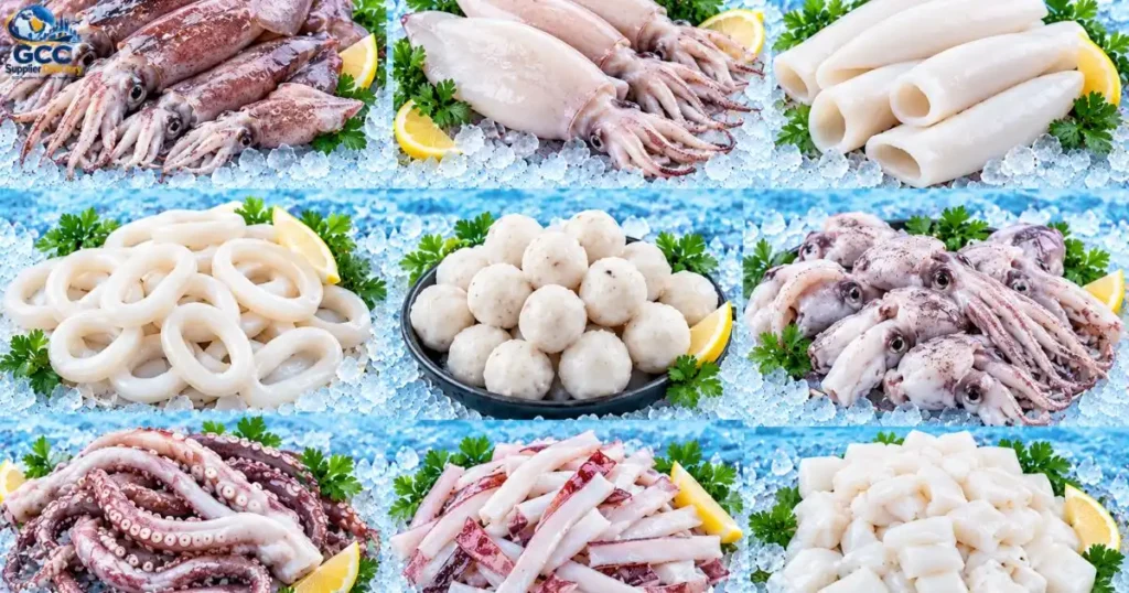 Frozen Squid Suppliers