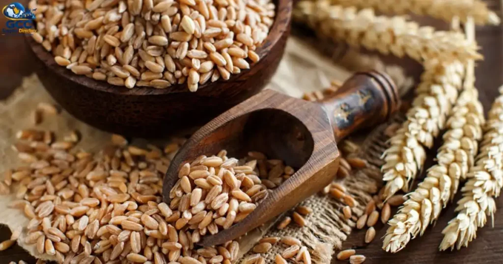 Wheat Suppliers